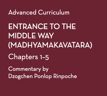 Commentary on the Entrance to the Middle Way: Chapters One to Five